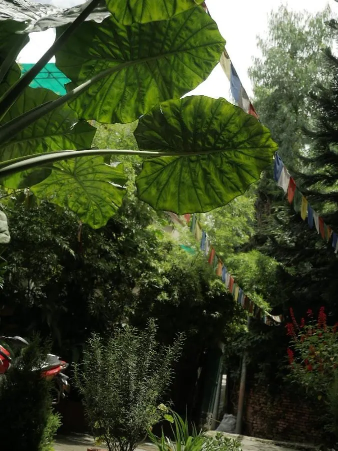 Nirvana Green Peace Home Κατμαντού Πανσιόν