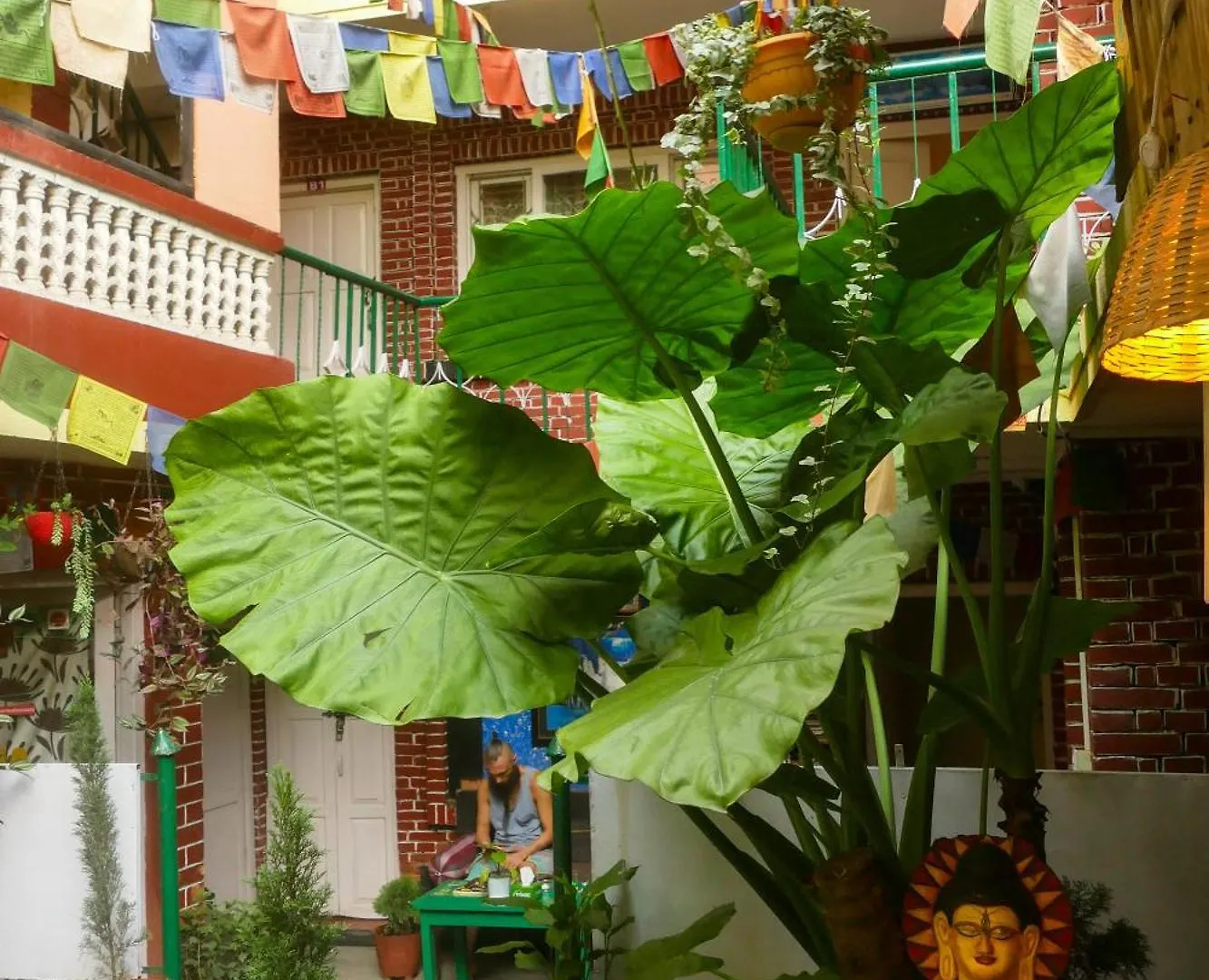 Πανσιόν Nirvana Green Peace Home Κατμαντού