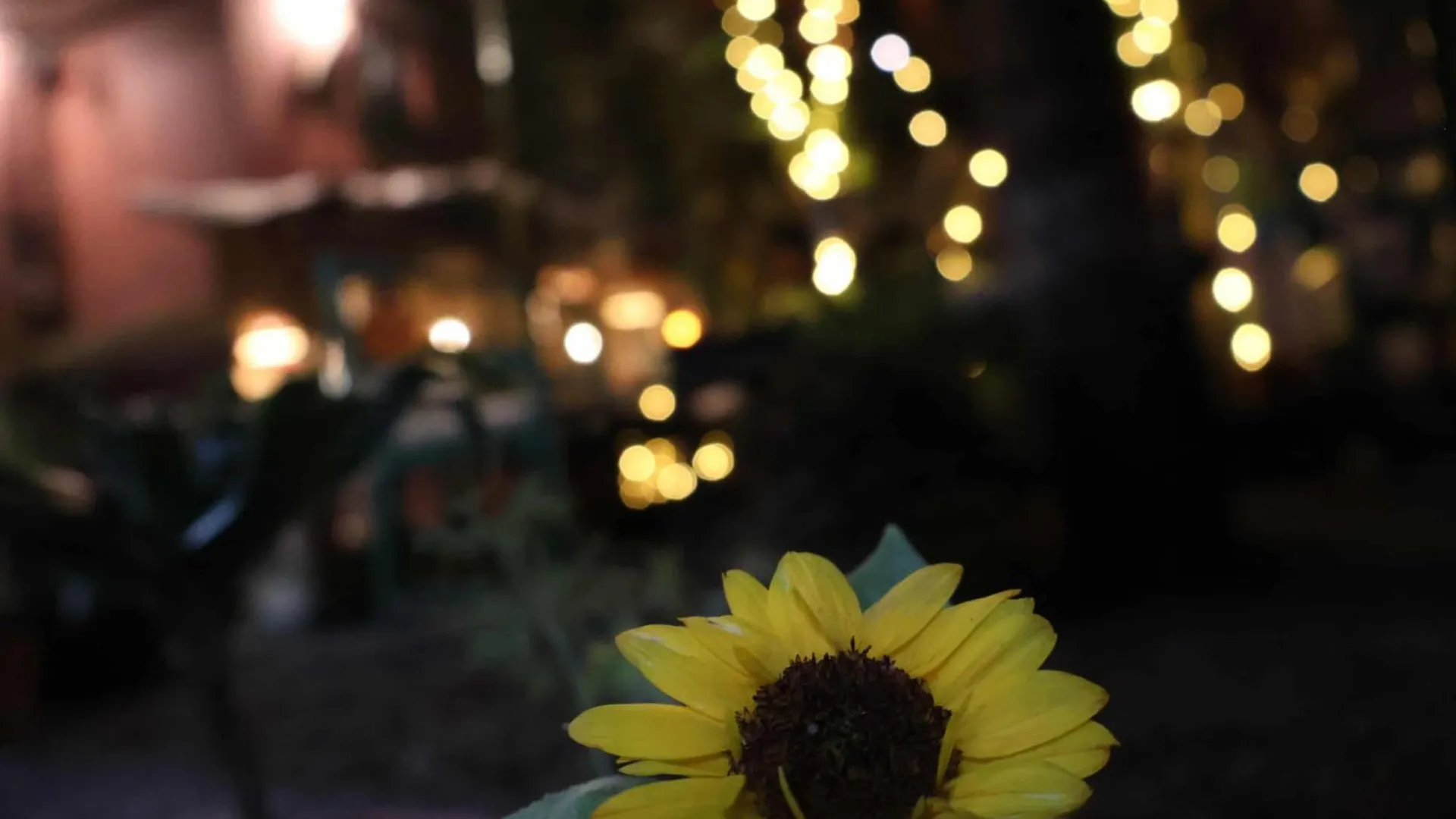 Nirvana Green Peace Home Κατμαντού Πανσιόν