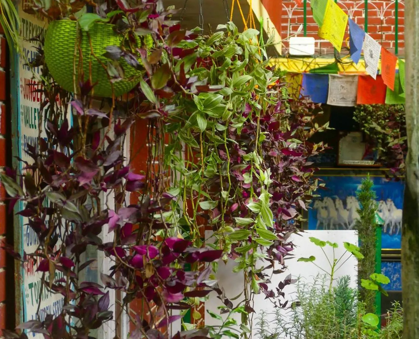 Nirvana Green Peace Home كاتماندو بيت ضيافة
